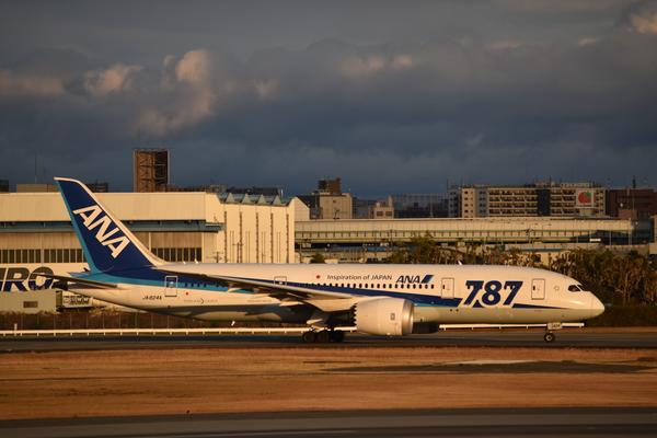 滑走路や空港まわりの動きと広さを感じながら眺めている写真