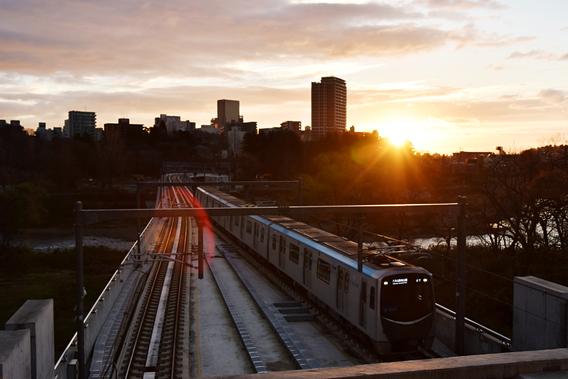 夕日が線路の奥で光り、電車と街並みが逆光で写る写真