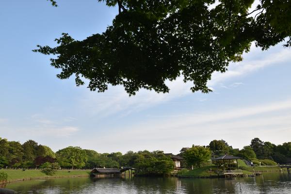 枝や影で景色を切り取りながら見せている日常風景の写真