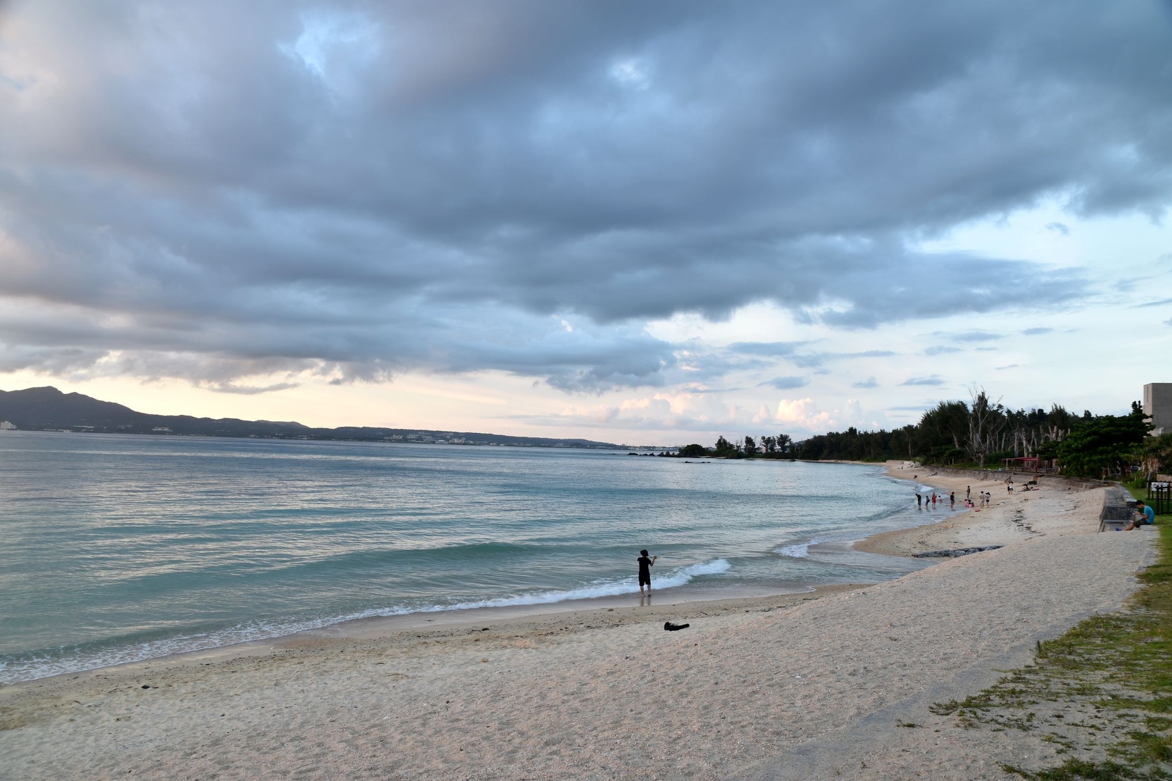 南国の植物と海が一緒に写る沖縄の海の写真