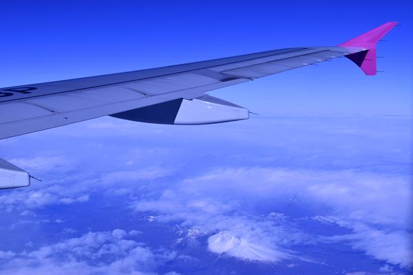 寒色寄りの光で全体が青っぽく見える写真