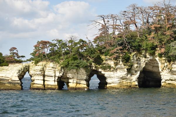 昼の自然光で比較的中立に近く見える写真
