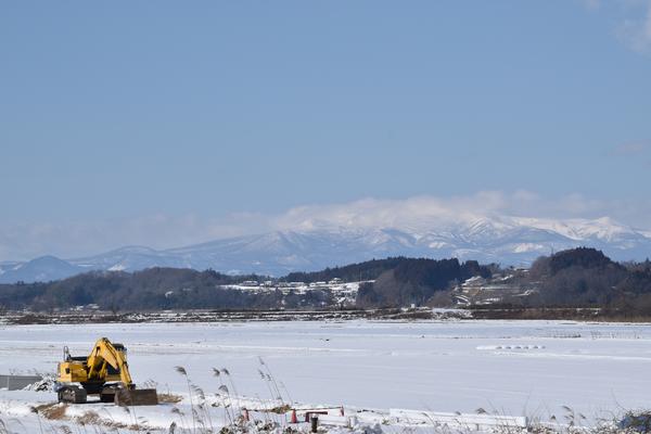 雪原や地面の広い面積が余白として働く写真